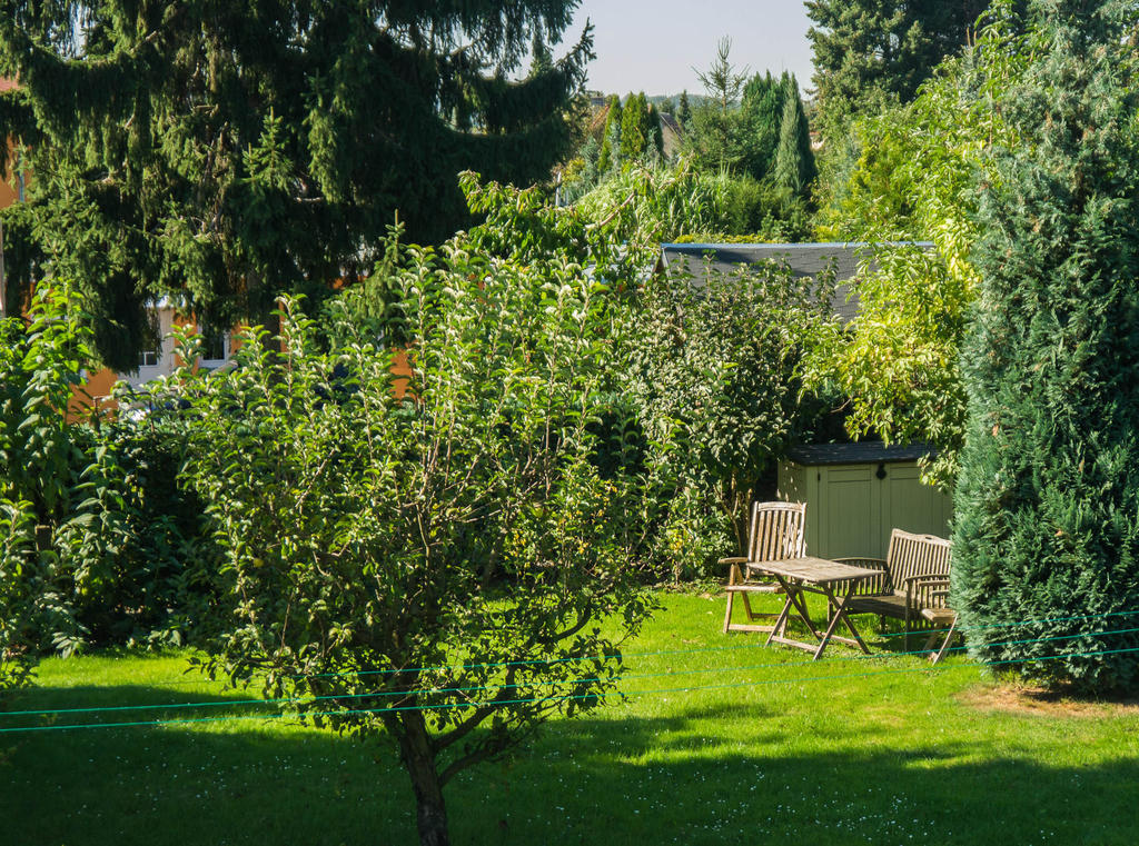 Ferienwohnung Am Elberadweg Dresden Exteriör bild