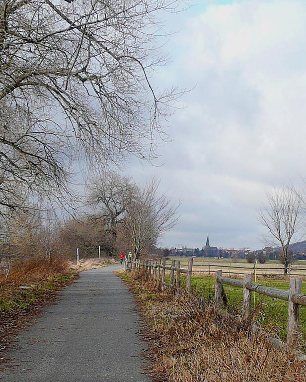 Ferienwohnung Am Elberadweg Dresden Exteriör bild