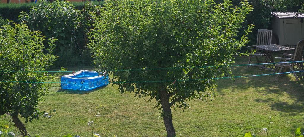 Ferienwohnung Am Elberadweg Dresden Rum bild