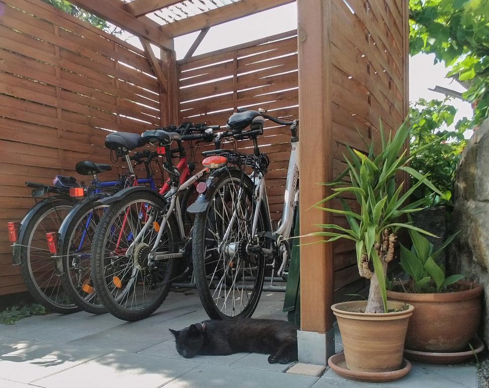 Ferienwohnung Am Elberadweg Dresden Exteriör bild